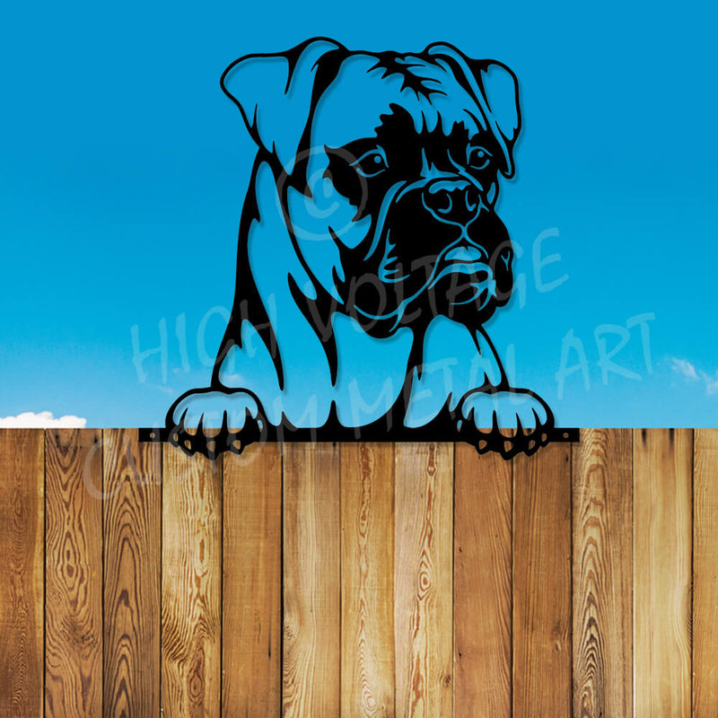 fence peeking boxer