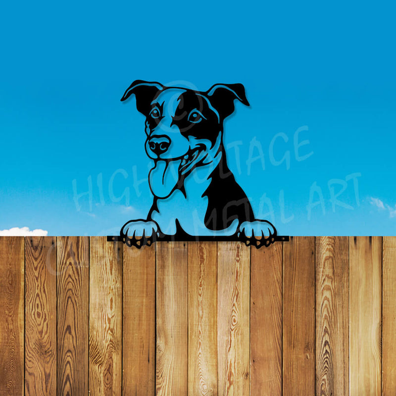 fence peeking jack russell