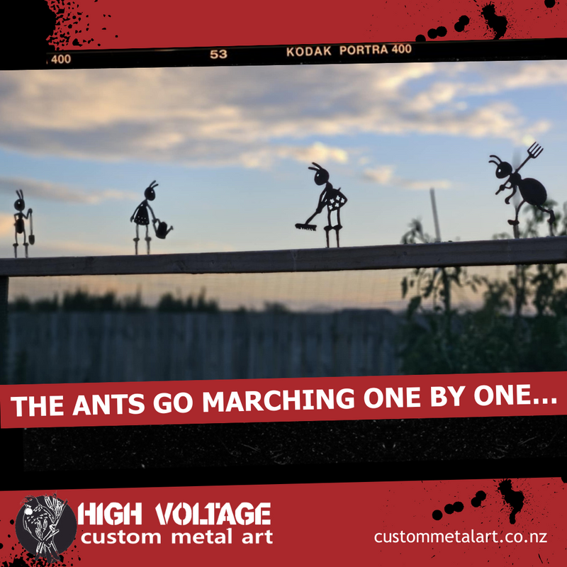 gardening ants