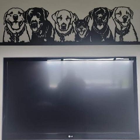pet portraits